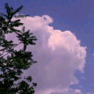 灵兽纷争官方版下载